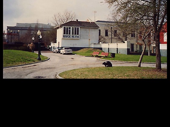 Old WWOZ studio in Louis Armstrong Park - photo by Infrogmation